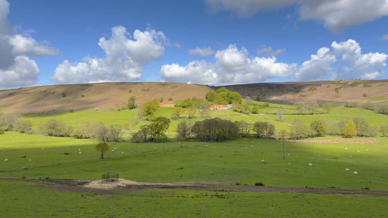 Oak Tree Farm sits among green pastures and mature trees below the rising moorland of Great Ayton Moor.