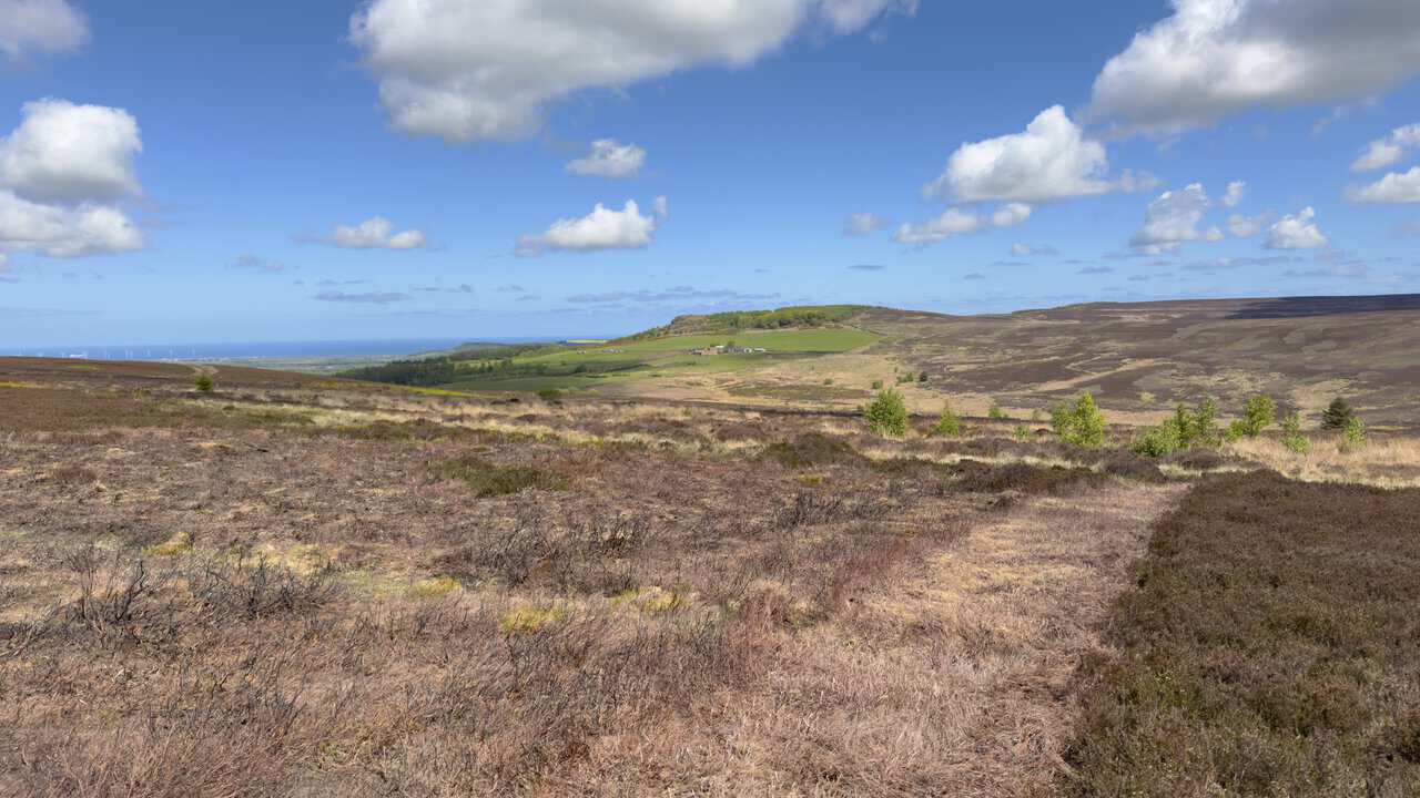 Highcliff Nab rises as a rocky outcrop above trees, with farmland, the distant North Sea and offshore wind turbines beyond.