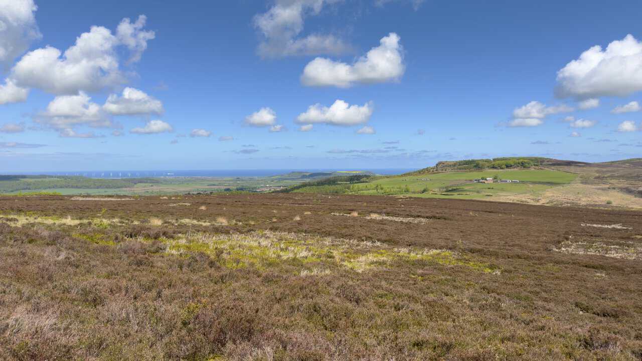 Farmland stretches north towards the North Sea, with Teesside Wind Farm visible offshore and Highcliff Nab standing above the surrounding fields.
