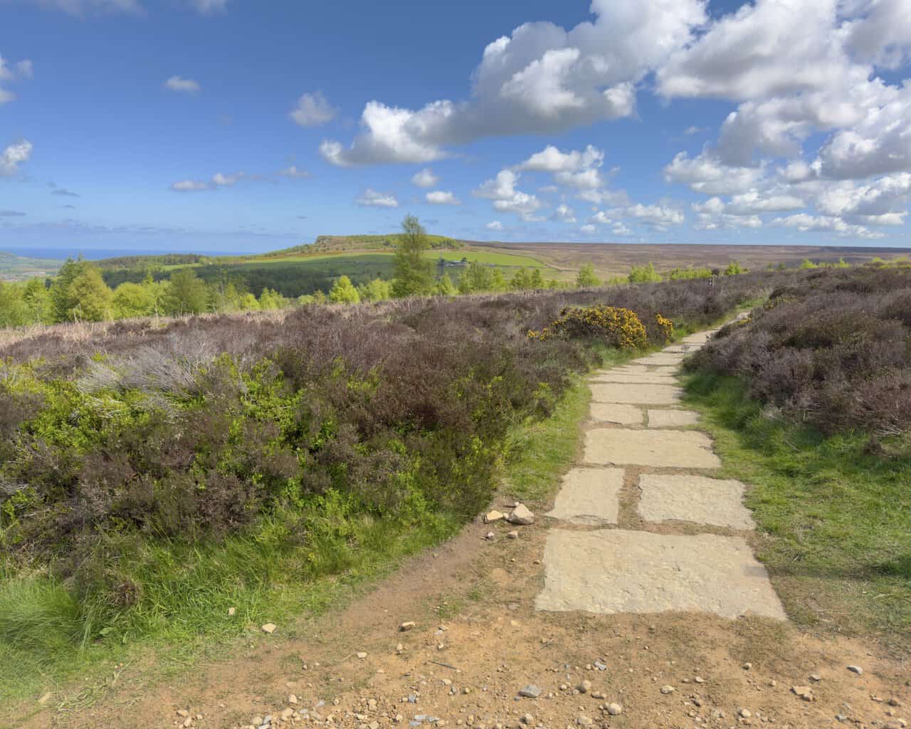 A stone-slabbed Cleveland Way footpath branches across Hutton Moor on the Great Ayton walk, heading towards Highcliff Nab as a small rocky bluff ahead.
