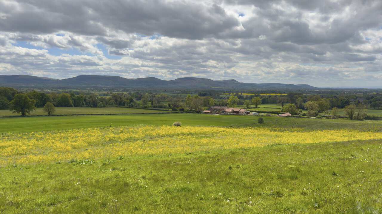 A working farm sits within the rolling countryside of Rye Hill on the Great Ayton walk, with hedgerows, mature trees, wildflowers and the Cleveland Hills beyond.