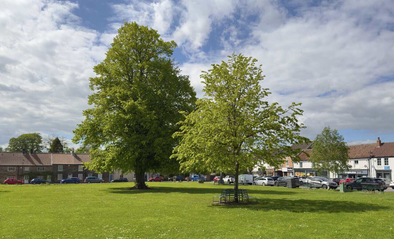 Benches surround the village green in Great Ayton, at the end of the Great Ayton walk.