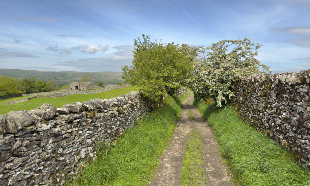 High Lane near Grassington, with hawthorn bushes forming a natural tunnel over the path and a stone barn beyond the wall.