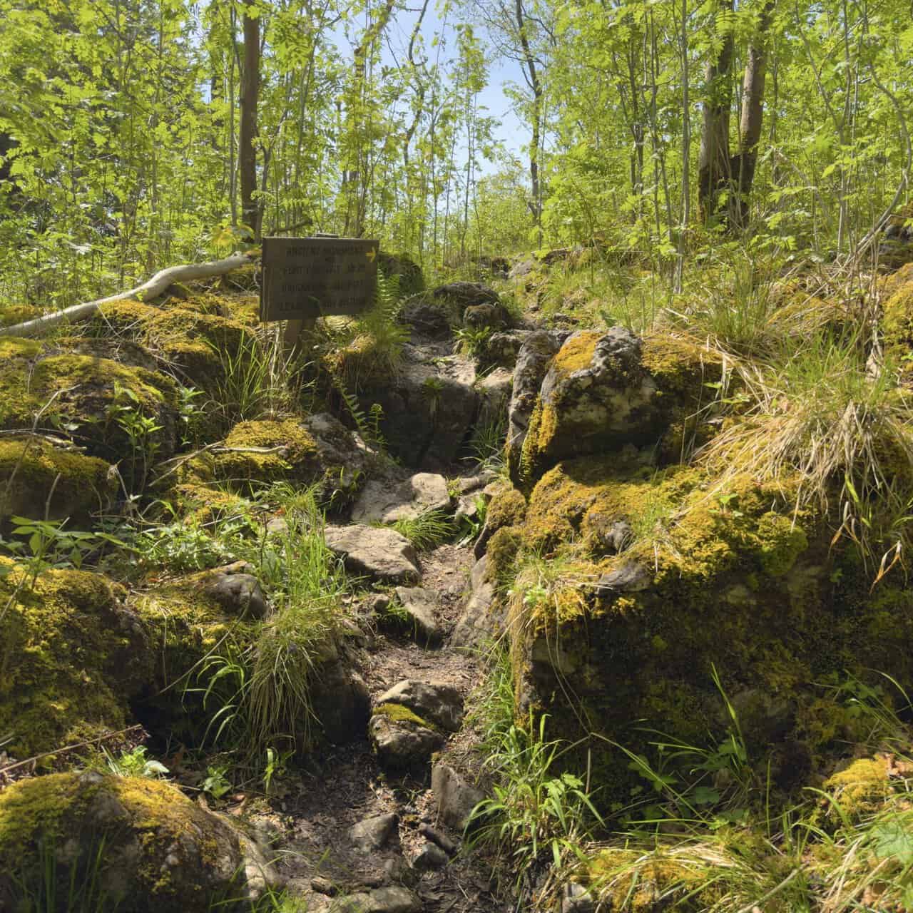 Rocky woodland path and a wooden sign pointing to Fort Gregory, a Brigantian hill fort dating from AD 70 in Grass Wood.