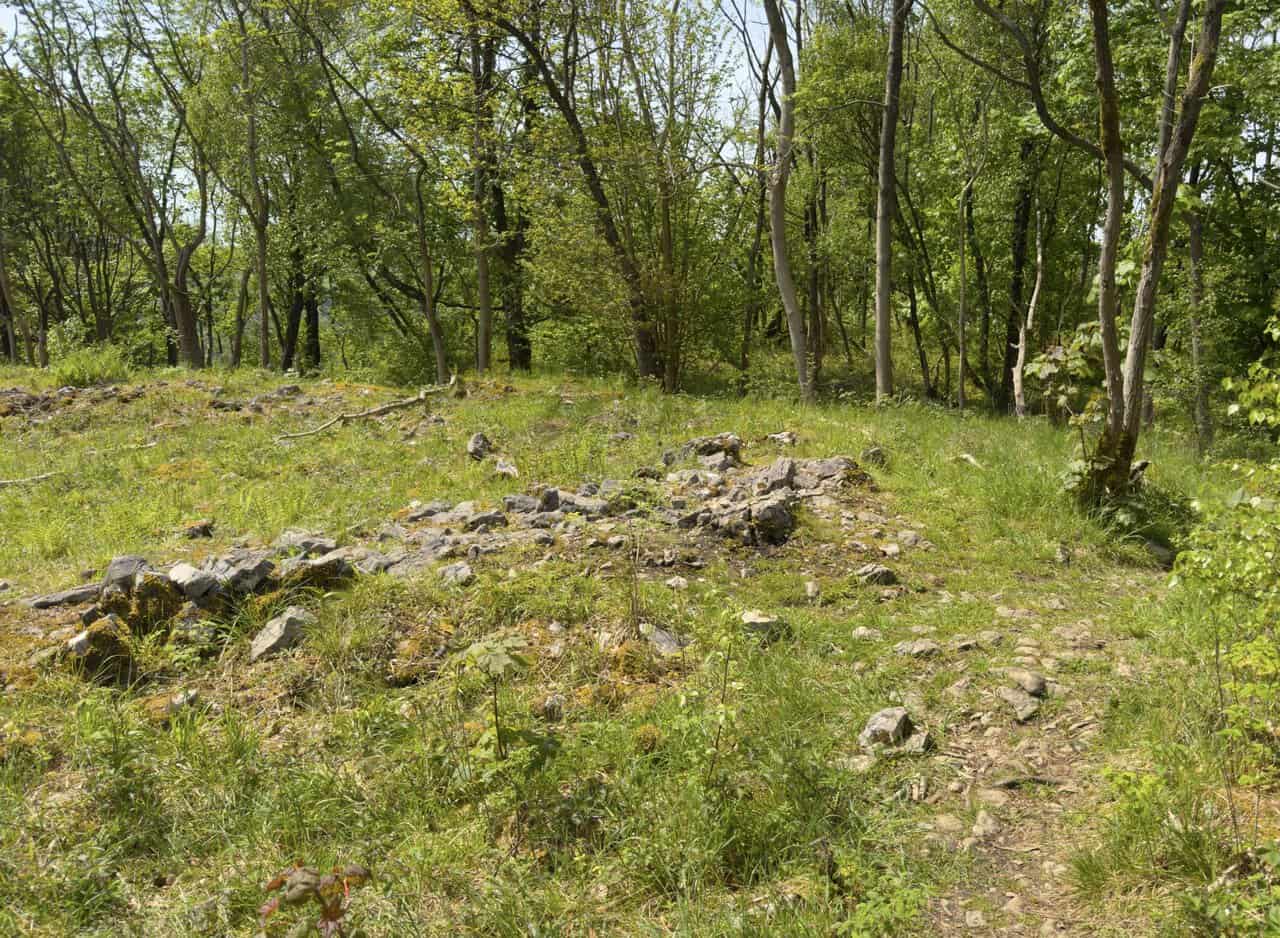 Scattered stones marking the remains of Fort Gregory, a Brigantian hill fort on a limestone ridge in Grass Wood, Grassington.