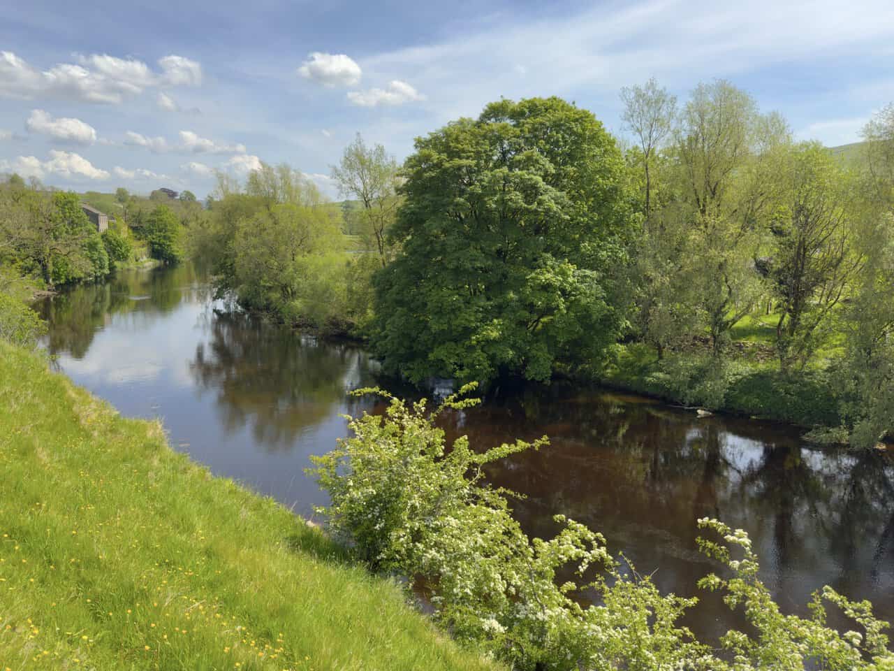 A calm stretch of the River Wharfe beyond Linton Falls, with hawthorn blossom and trees reflected in the water.