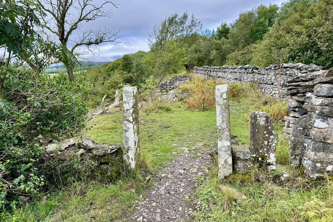 The well-trodden woodland path winds gently along the Leyburn Shawl terrace, comfortable underfoot and easy to follow on both of the Leyburn Shawl walks.