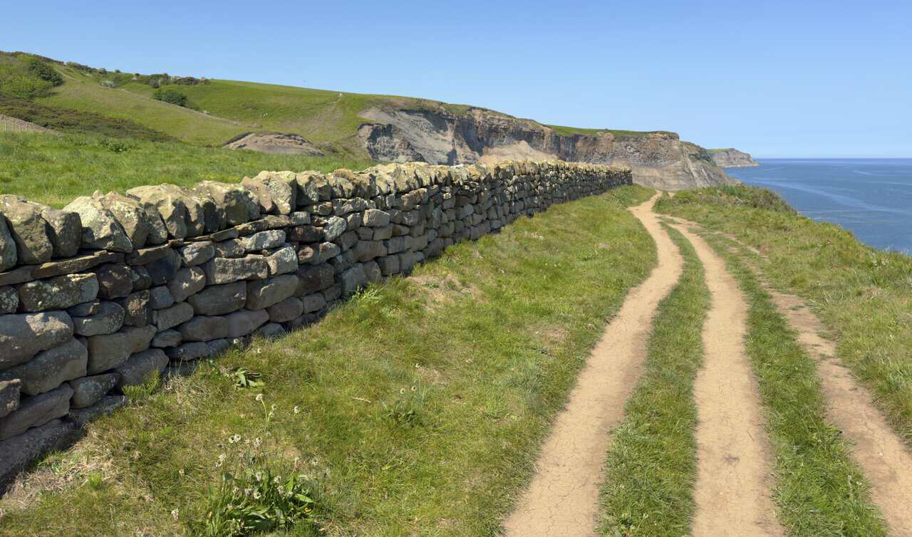 A drystone wall runs beside the Cleveland Way as the clifftop path continues towards Rain Dale with the sea on the right.