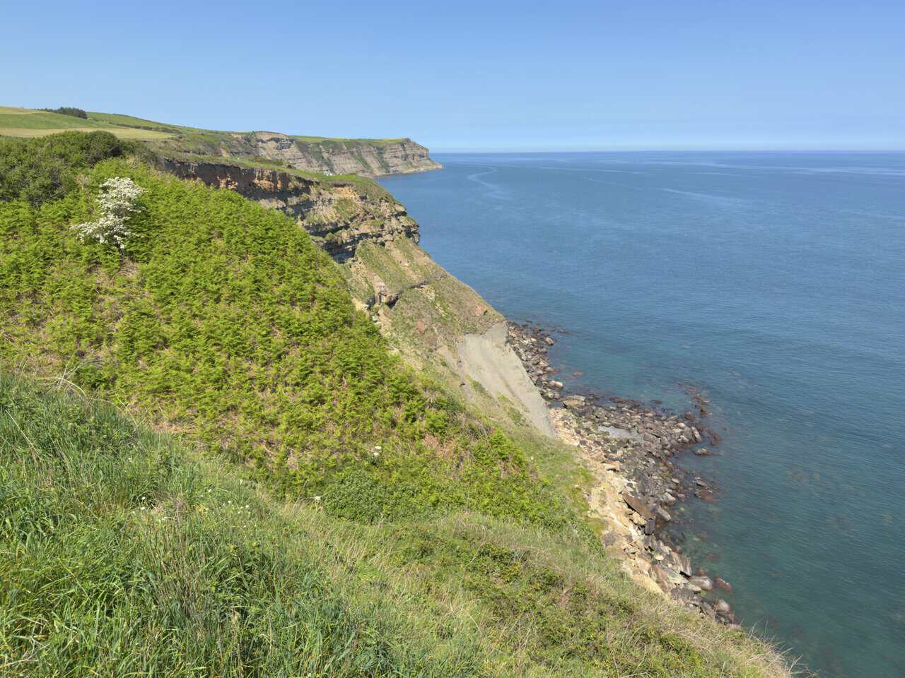 Bracken-covered cliffs fall towards the rocky shore at Pursglove Stye Batts on the coastal section of the route.