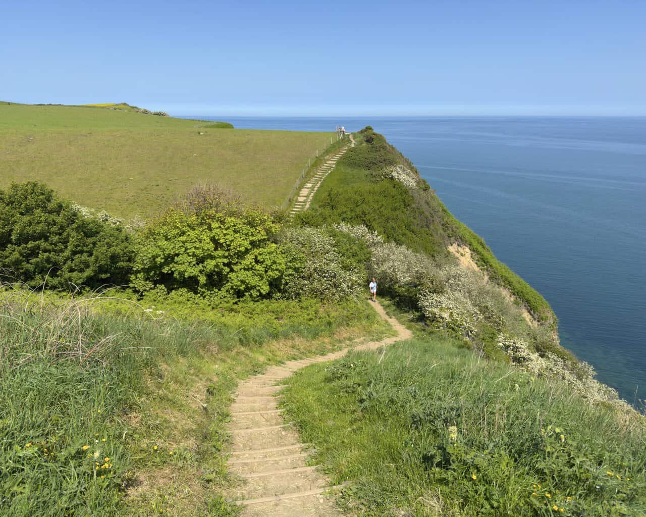 Stone steps climb out of one of the small valleys on the Cleveland Way, returning walkers to the open clifftop.