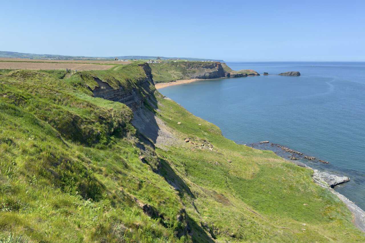 Saltwick Bay opens ahead on the Whitby walk, with sea stacks offshore and Whitby Abbey visible in the distance.