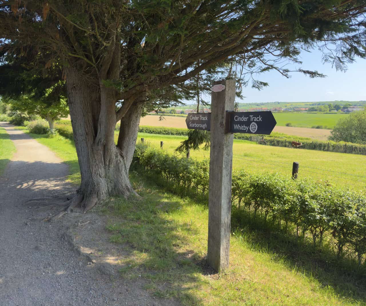 A Cinder Track signpost marks the Whitby walk at Hawsker, pointing towards Whitby and Scarborough.