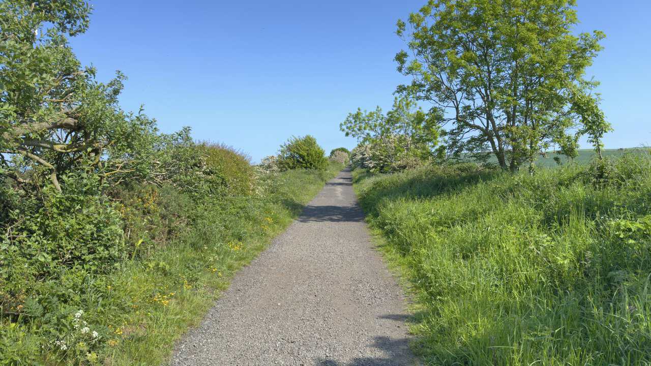 The Whitby walk follows the straight, level Cinder Track between grassy banks and hedgerows.