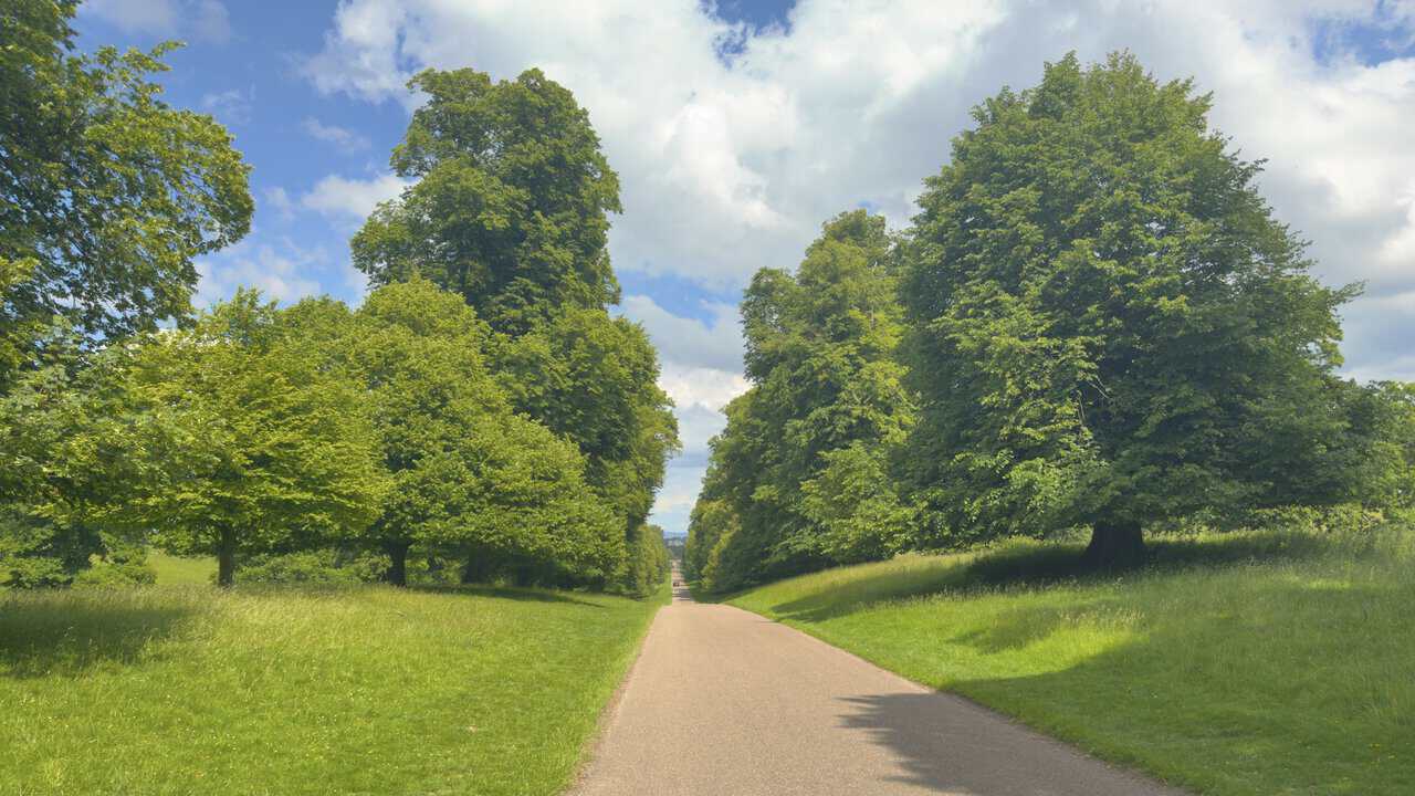The straight tree-lined avenue through Studley Royal Deer Park, aligned with distant Ripon Cathedral.
