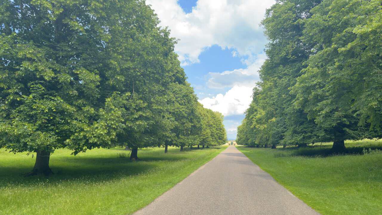 A long straight lane on a Ripon walk through Studley Royal Deer Park, bordered by broad grass verges and estate trees.
