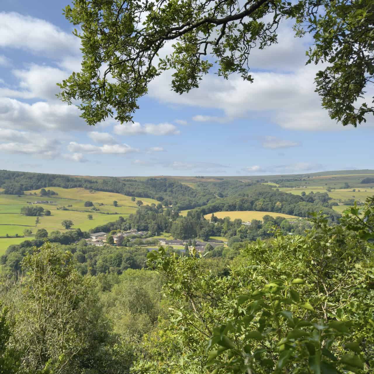 The Rock viewing platform on Panorama Walk, overlooking the broad Nidderdale valley.