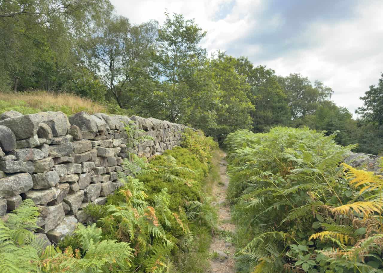 Following the Nidderdale Way on the Brimham Rocks walk.