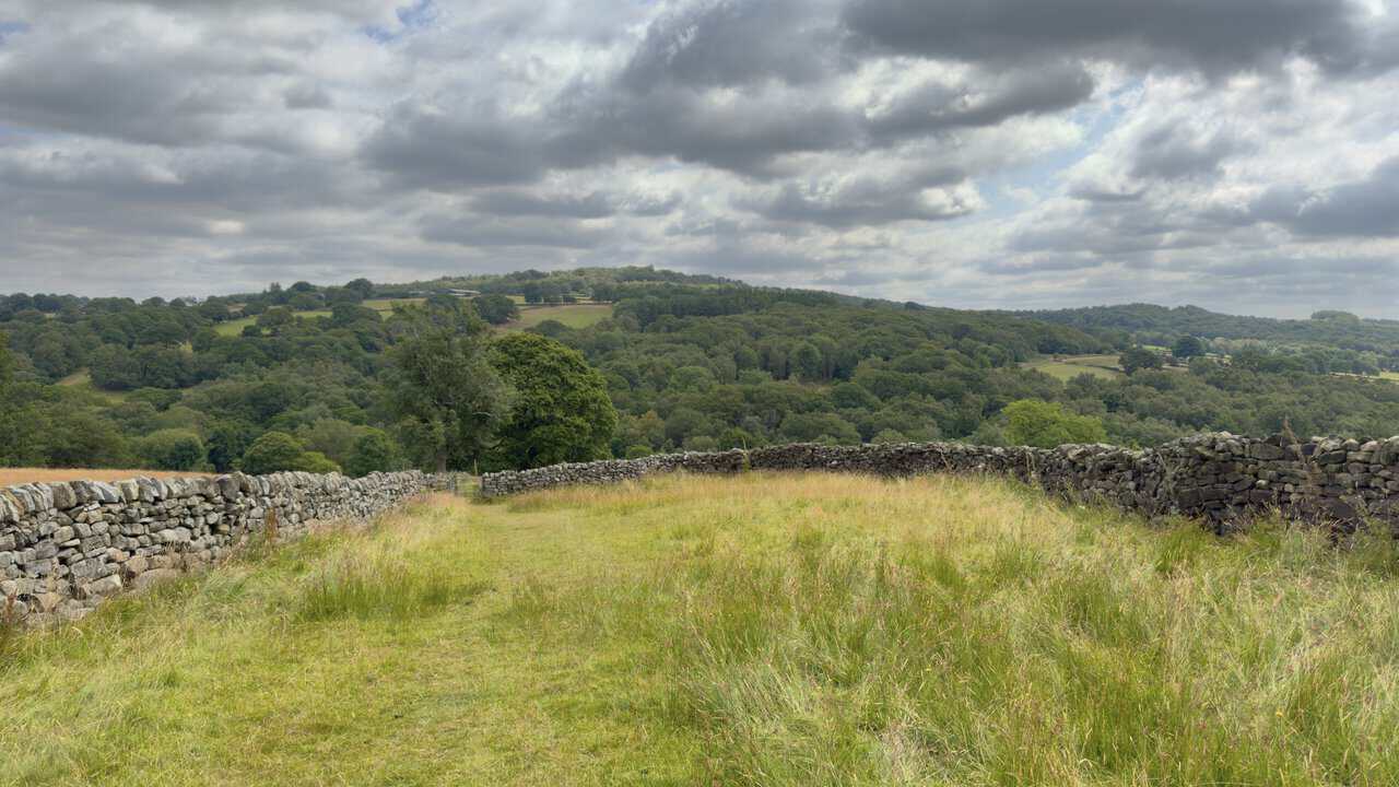 Walled footpath descending into the valley towards Brimham Moor on the Brimham Rocks walk.