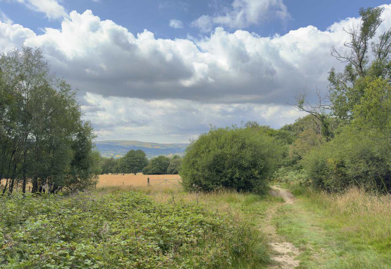 Nidderdale Way path crossing open countryside towards distant hills, marked by curlew waymarkers.