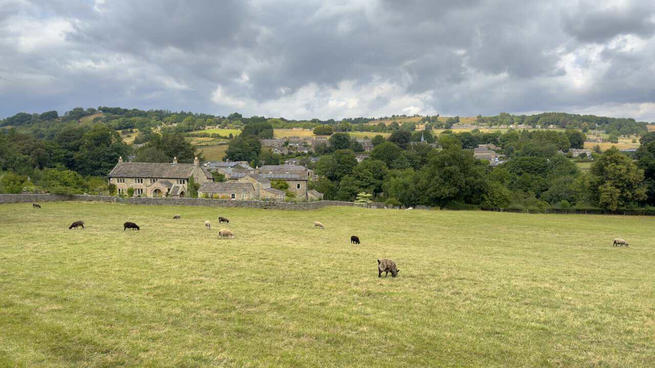 Sheep grazing above Glasshouses, with stone houses, trees and a slender church spire below.