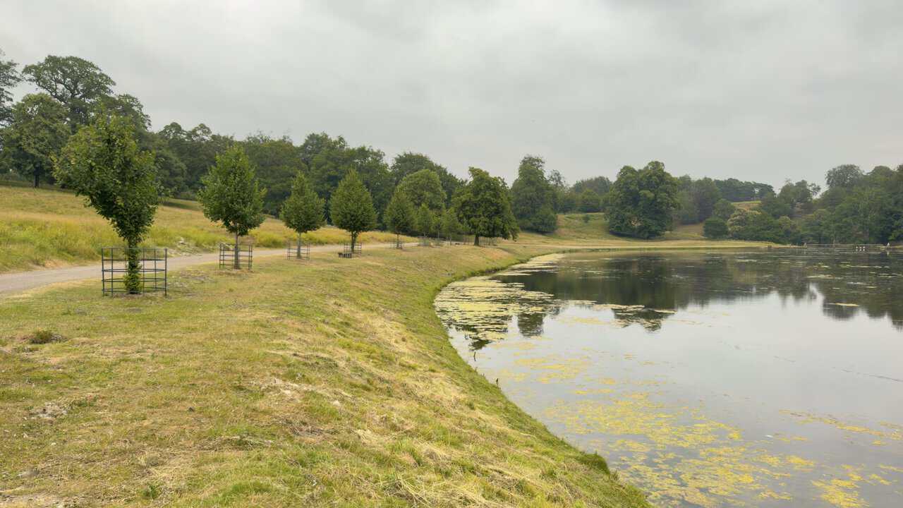 A stone track running around the edge of Studley Lake, young trees in guards lining the calm, level bank.