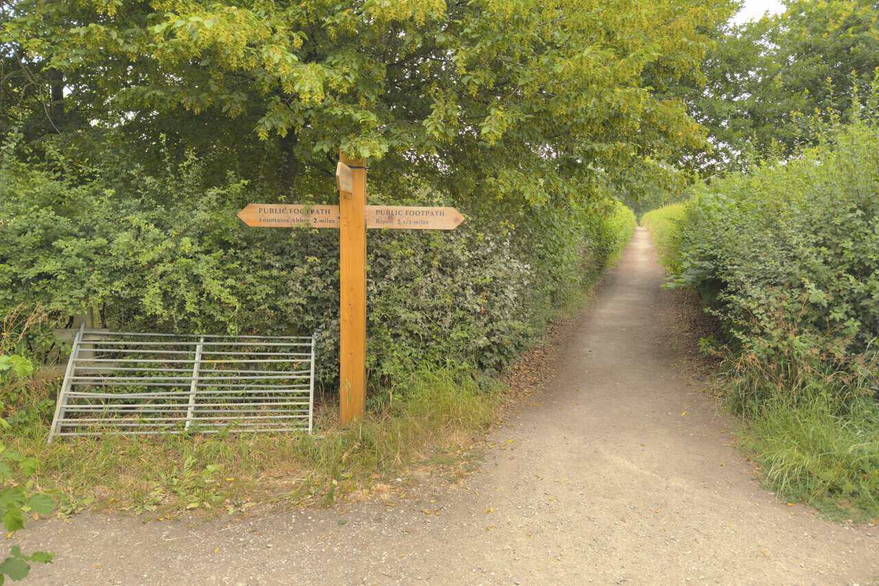 A wooden fingerpost on the Fountains Abbey circular walk, signed to Fountains Abbey and Ripon, with a hedged path leading on.