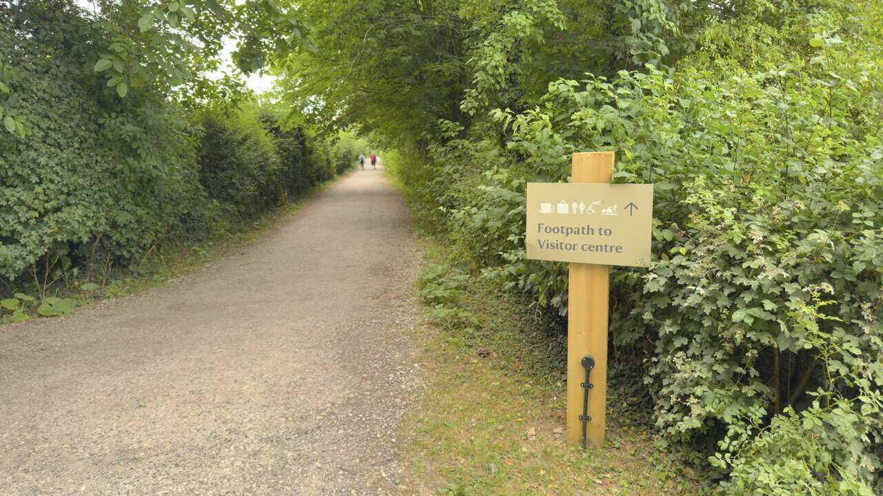 A shady, tree-lined track leading back towards the visitor centre to close the Fountains Abbey circular walk.