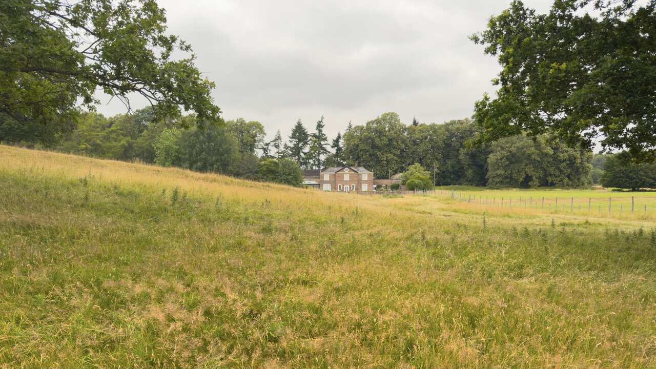 Wheatbrigs House in the distance, with mature trees scattered across the deer park.