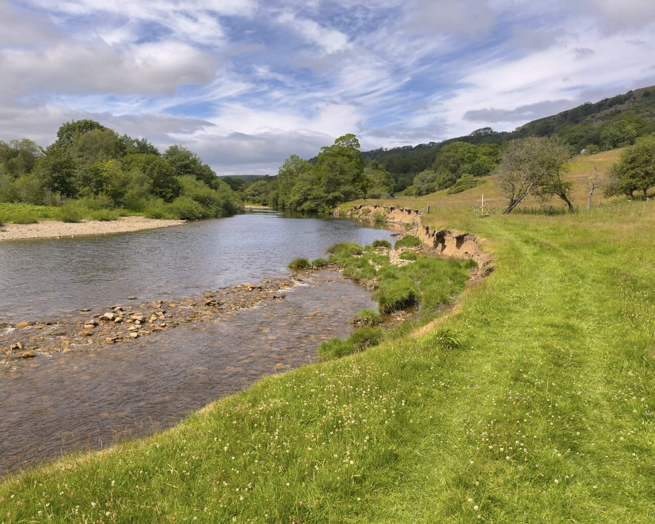 River Swale running wide and shallow over stones, with undercut grassy banks, reeds and wooded hills in the distance.