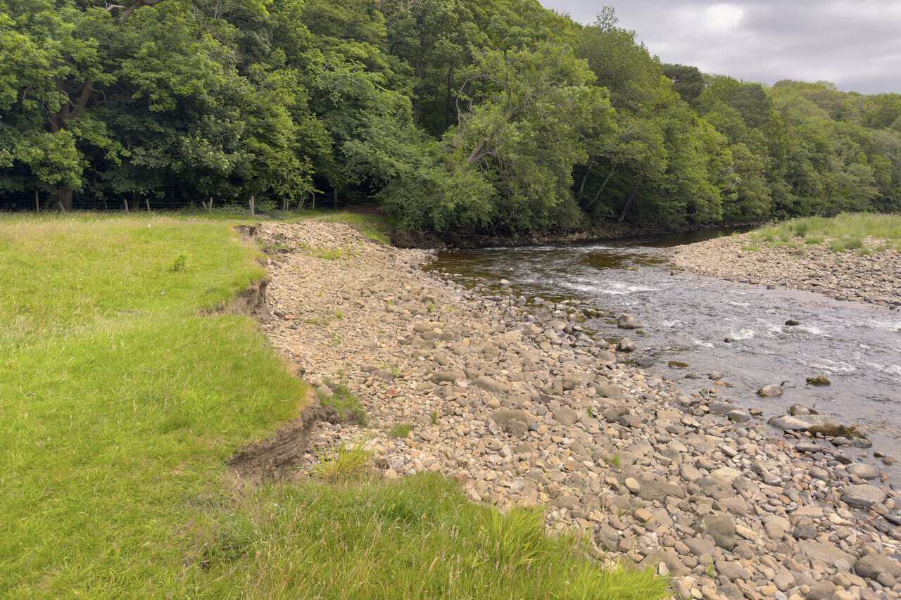Broad shingle bend of the River Swale on the Richmond walk, with a worn riverside path leading towards a woodland gate.