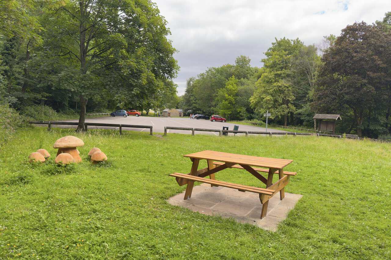 Picnic area at Round Howe on the Richmond walk, with wooden tables, carved toadstools and surrounding ancient woodland.