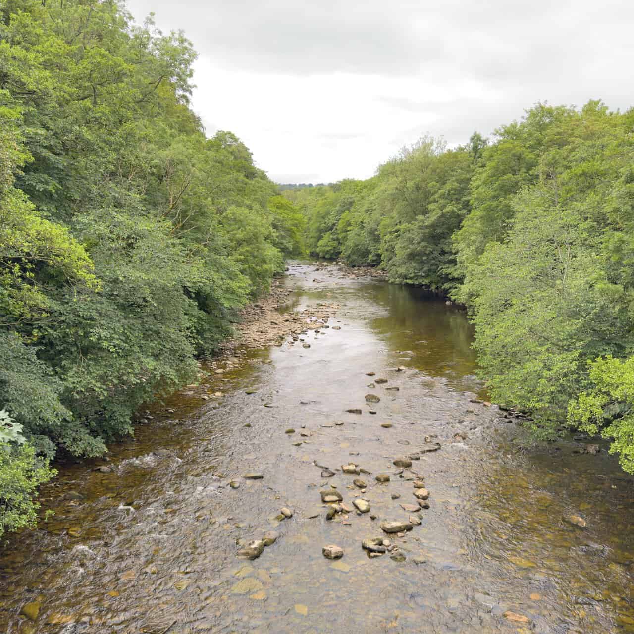 Footbridge over the River Swale leading towards Hudswell Woods, with clear shallow water and steep wooded banks.
