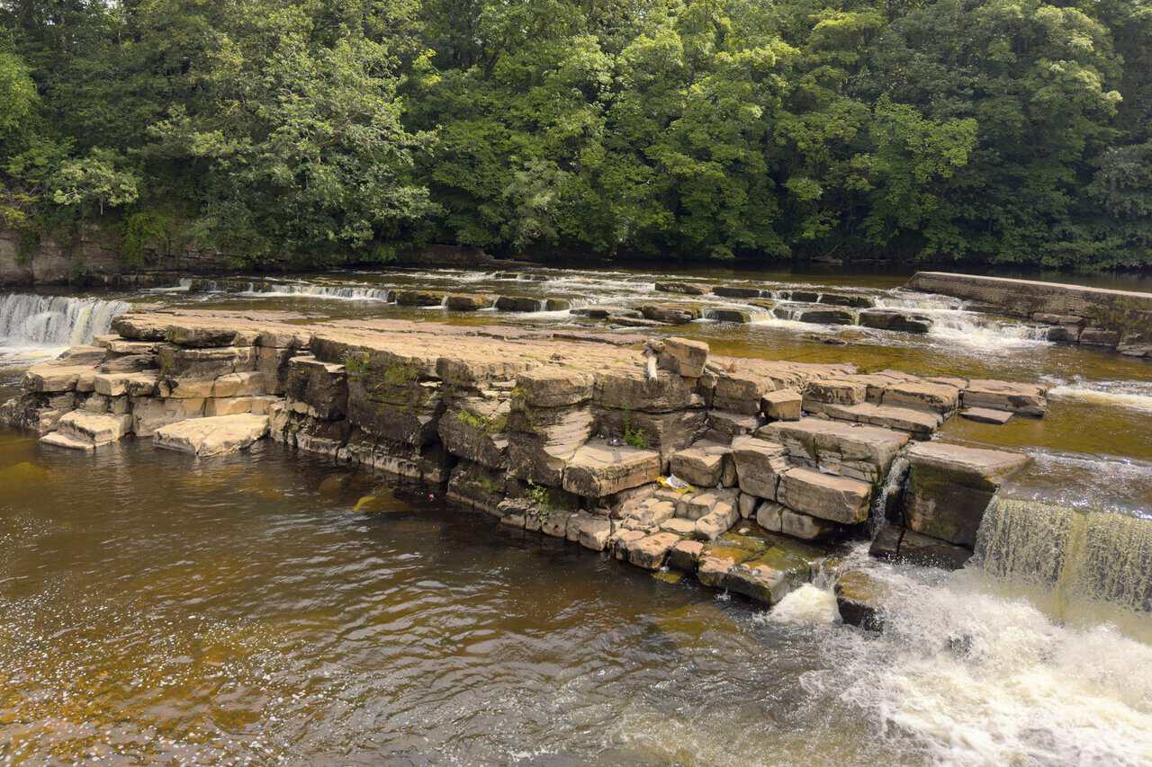 Richmond Falls on the River Swale, where water tumbles over broad limestone ledges below wooded riverbanks.