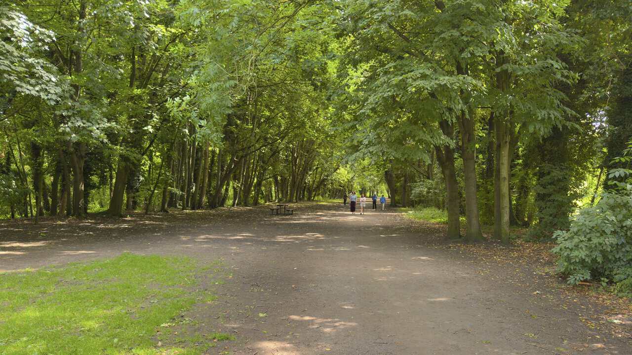 Tree-lined Easby Loop path following the old railway line from Richmond towards Easby Abbey.