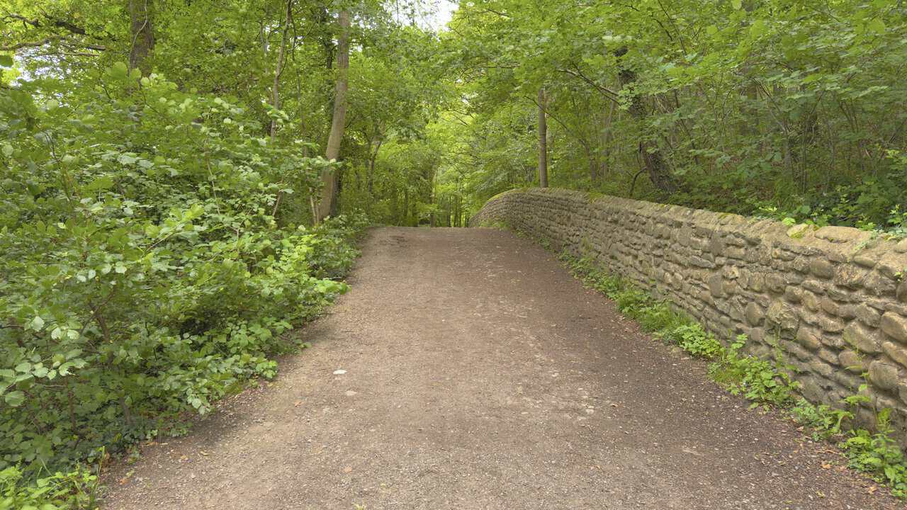 Wide gravel path through woodland on the Easby Loop, with a low drystone wall and trees closing in overhead.