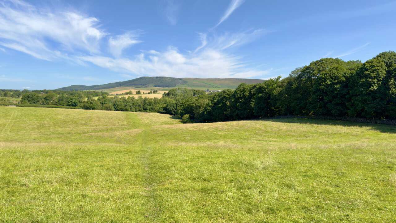 Faint grass path across Park Hill on the Dales High Way and Lady Anne's Way, dropping towards the A65.