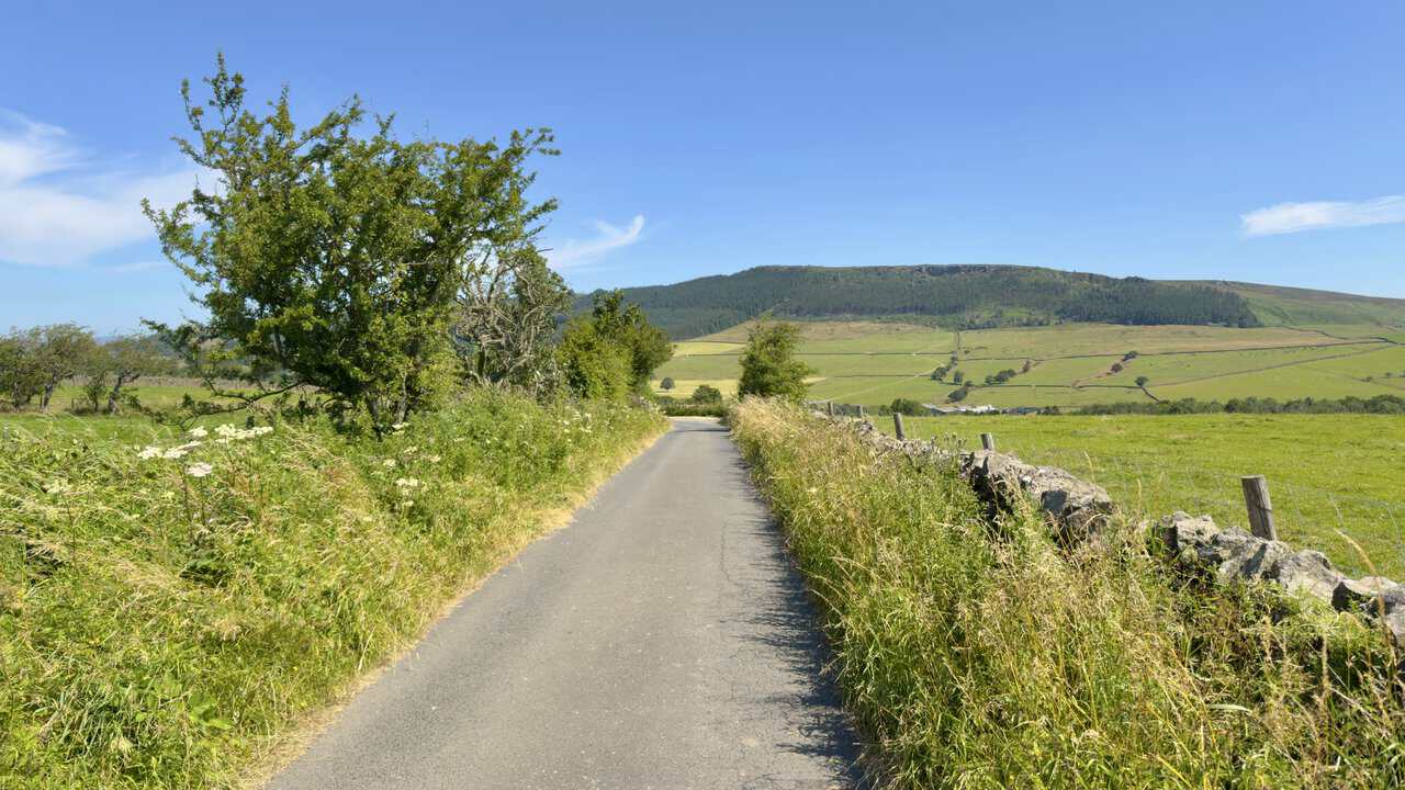 Bog Lane between wild flower verges, with Crookrise Wood and Crookrise Crag ahead on Embsay Moor.