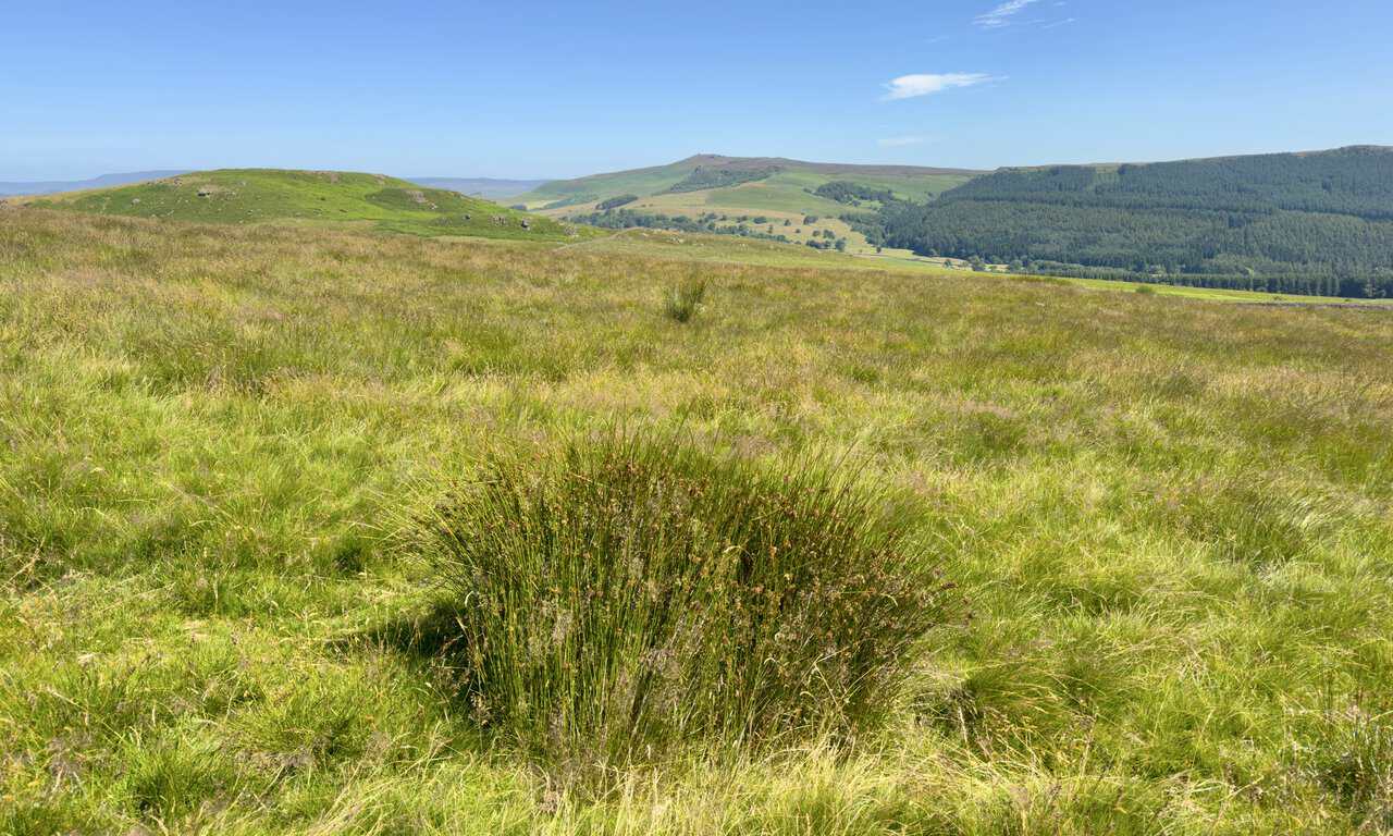 View north-east from Flasby Fell towards Rylstone Fell and Cracoe Fell on the Skipton walk.