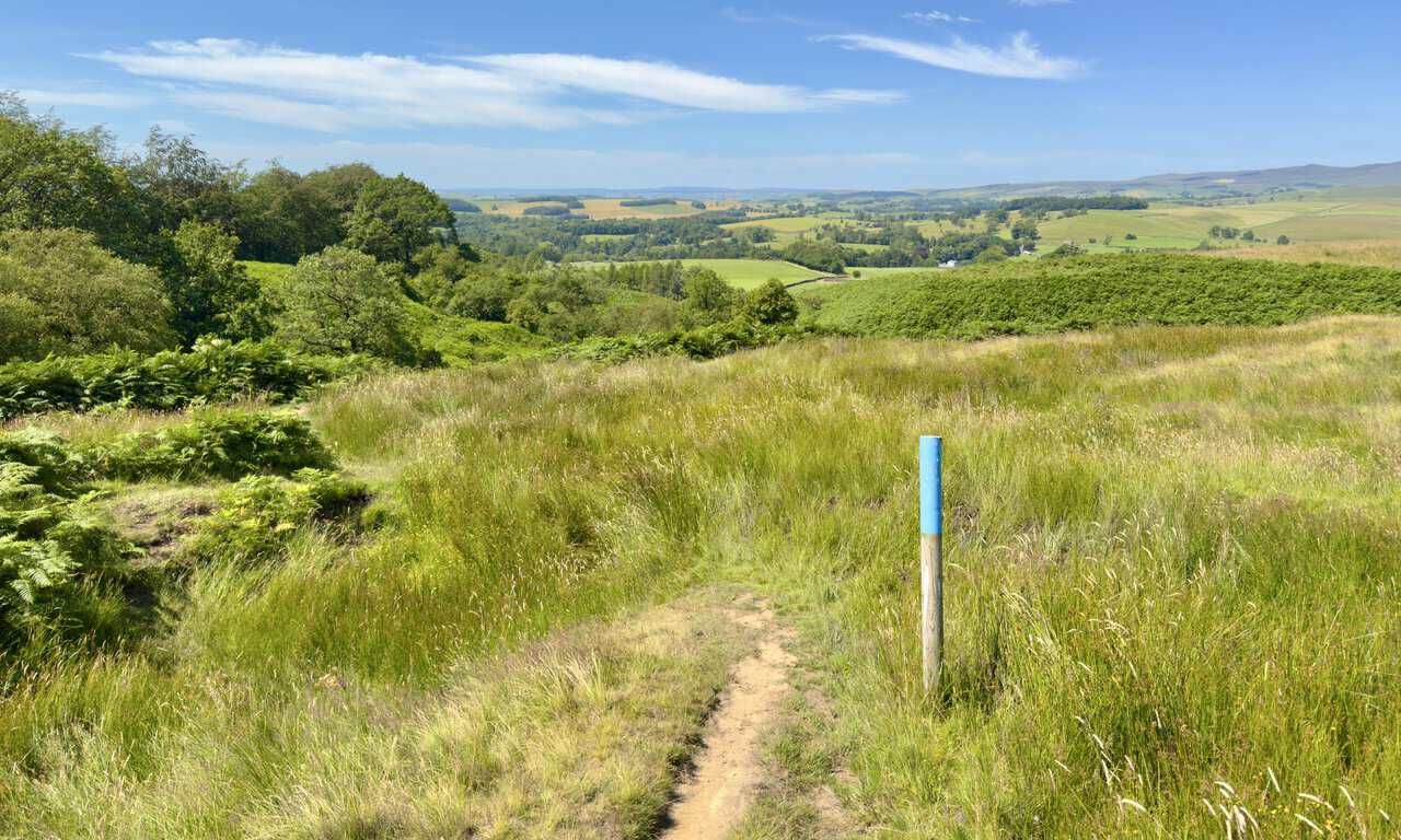 Blue-topped waymarker post marking the bridleway down from Flasby Fell towards Flasby.