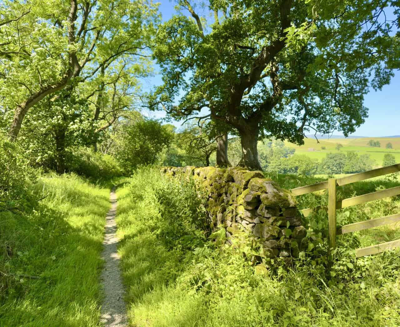 Stony path beside woodland and a mossy dry stone wall on the Skipton walk below Flasby Fell.