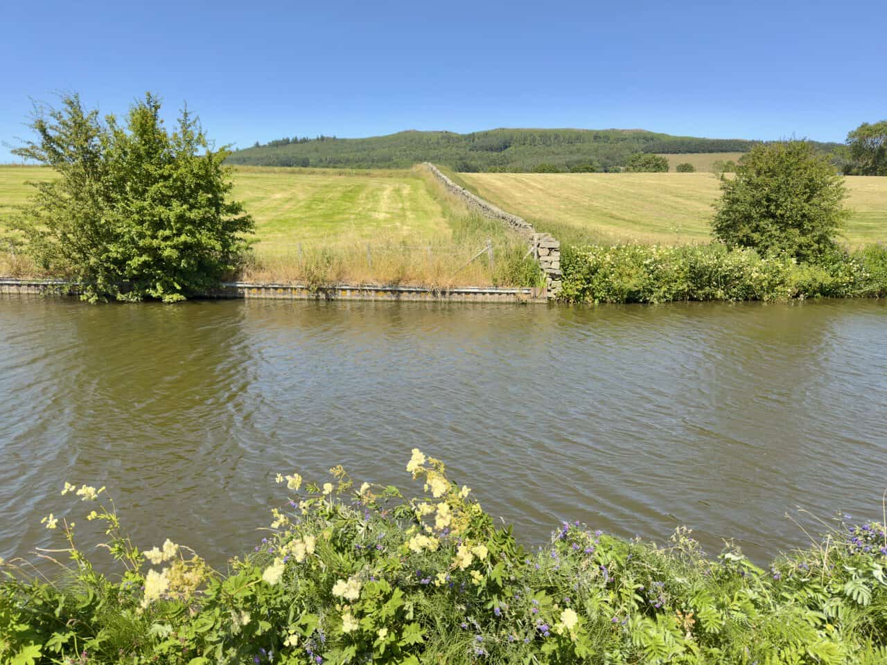 View north across the canal to Crag Wood, with a small cairn visible on the hill above.