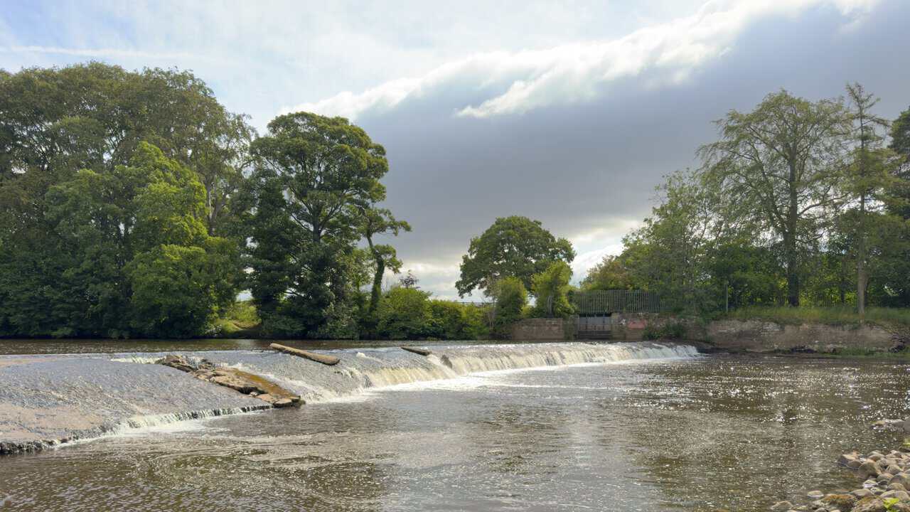 Curved weir on the River Ure beside the West Tanfield walk, with white water spilling towards a stony bank beneath tall trees.
