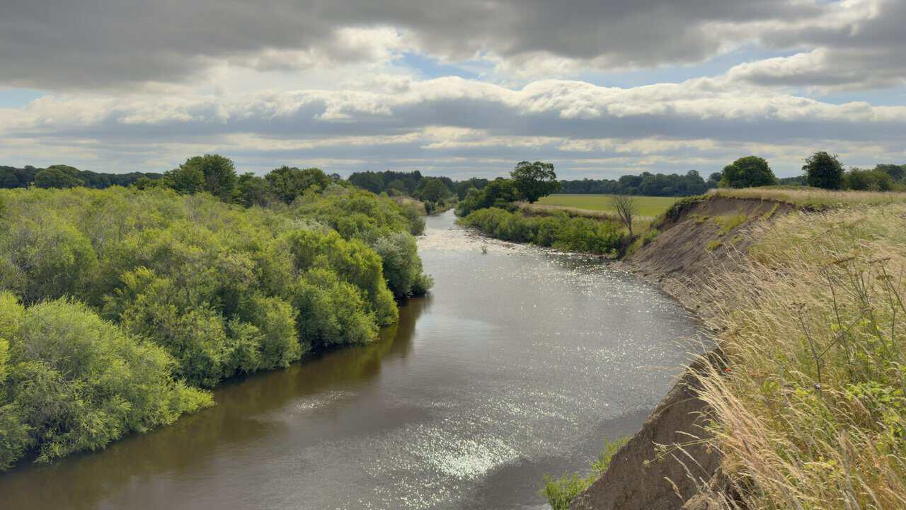 The West Tanfield walk follows the River Ure as it curves between wooded margins and a steep eroded grassy bank.