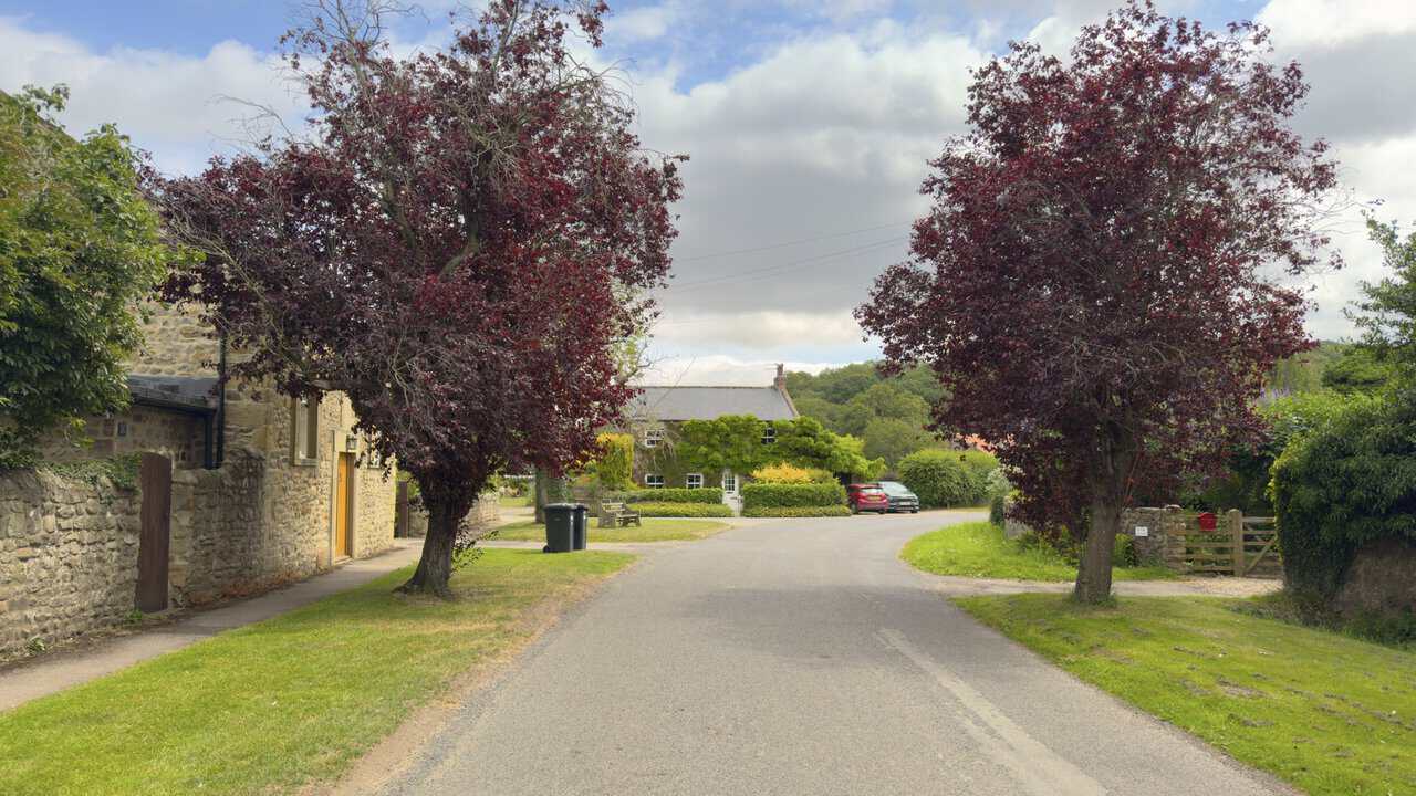 Quiet village street through Mickley lined with weathered stone cottages, mature trees and carefully maintained gardens.