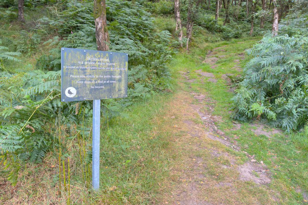 Weathered sign at the entrance to Skrikes Wood, describing the private nature reserve, beside a path into the ferns.