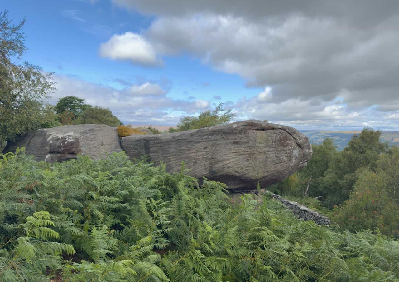 A large gritstone rock formation on the Yorke's Folly walk, shaped a little like a turtle's head above the ferns.