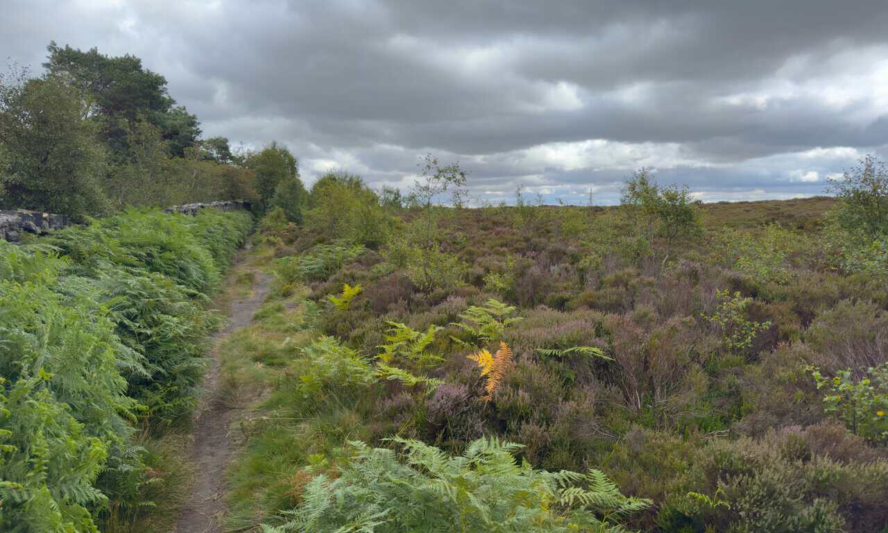 A path on the Yorke's Folly walk running across open moorland beside a high dry stone wall, with wide views.