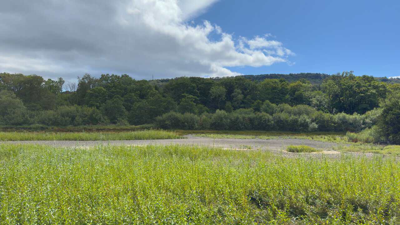 View from the Six Dales Trail on the Yorke's Folly walk, looking across to the EE telecommunications mast on the wooded hillside above the River Nidd.