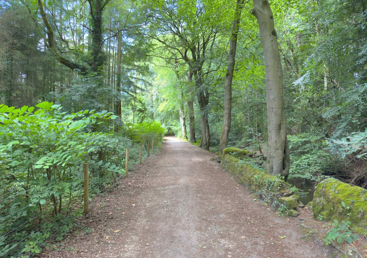 A leafy stretch of the Six Dales Trail beside the River Nidd, with a dry stone wall and trees alongside.