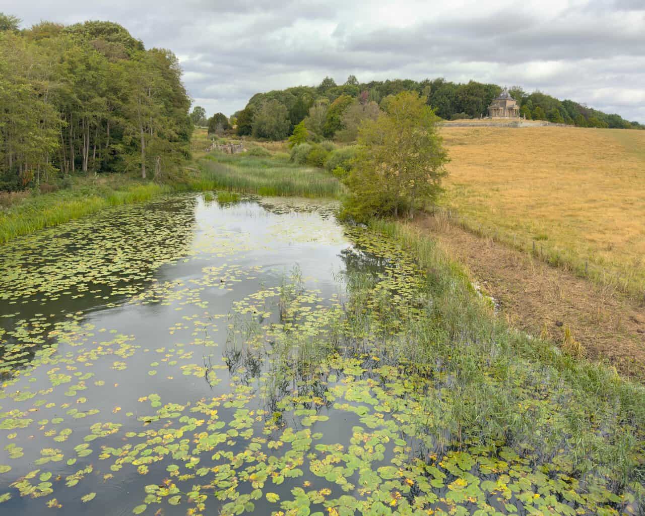 Lily pads covering New River Pond with the Temple of the Four Winds on the rising ground beyond.